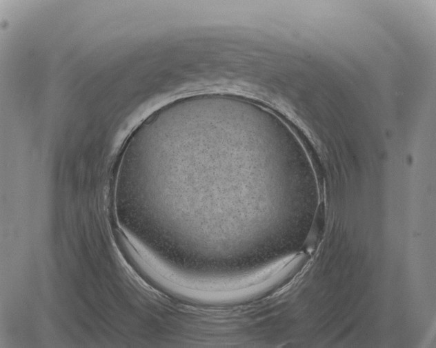 X0000083581500200702231642