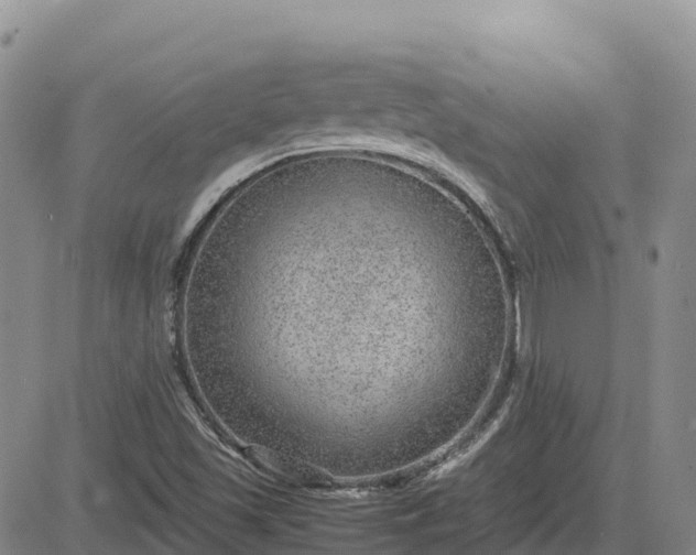 X0000083581501200702231642