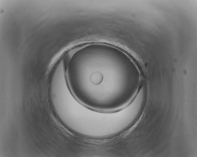 X0000083581502200702231642