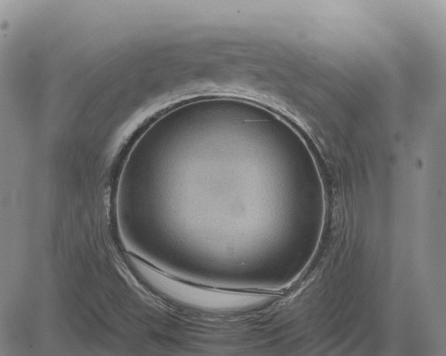 X0000083581503200702231642