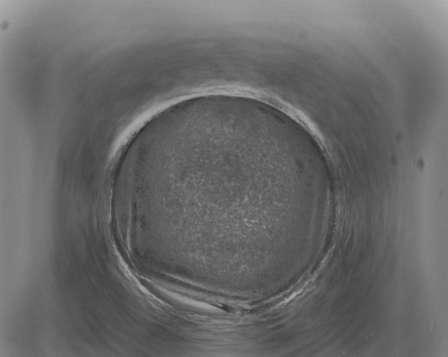 X0000083581504200702231642