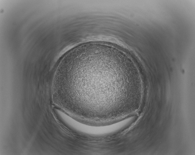 X0000083581505200702231642