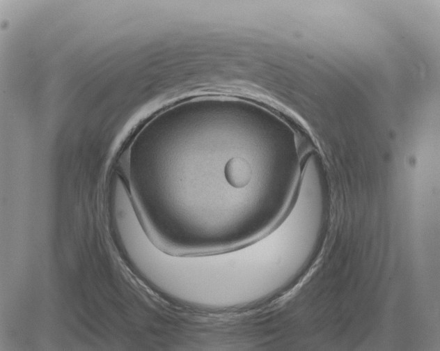 X0000083581506200702231642