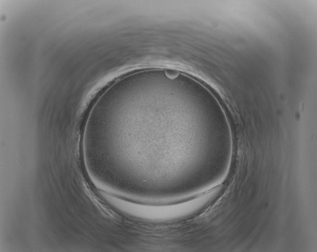 X0000083581507200702231642