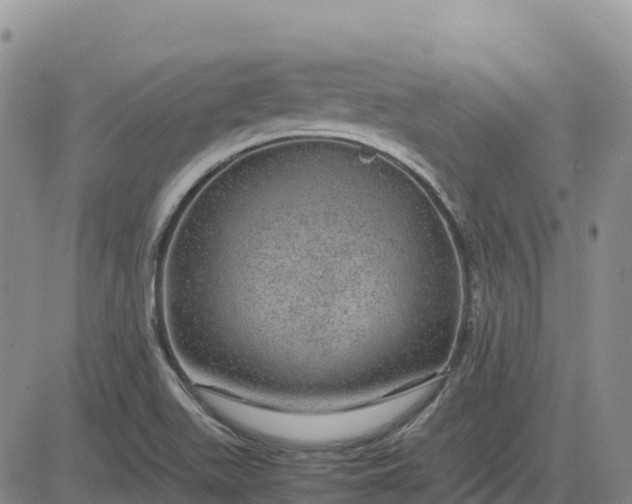 X0000083581511200702231642