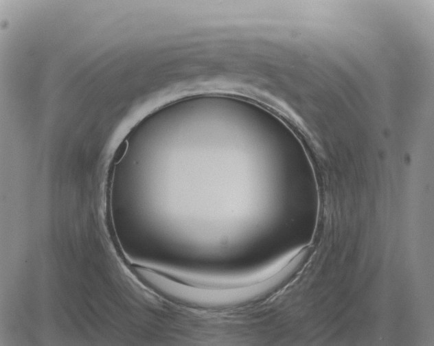 X0000083581512200702231642