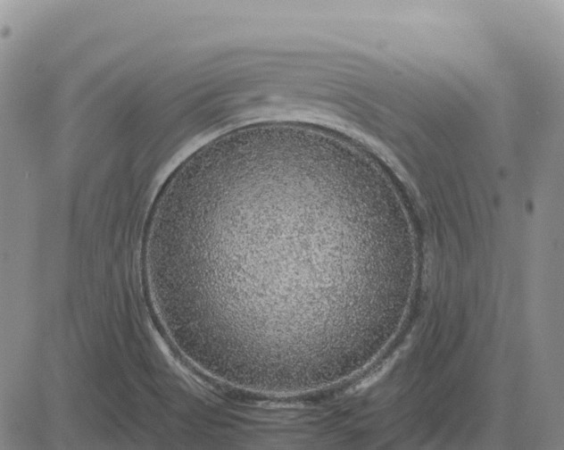 X0000083581513200702231642