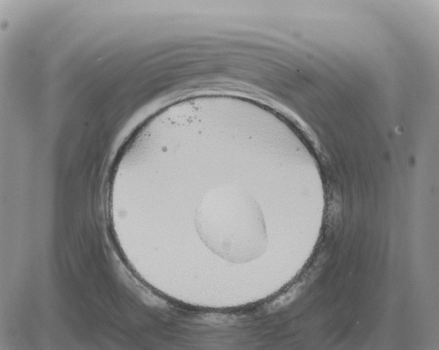 X0000083581514200702231642