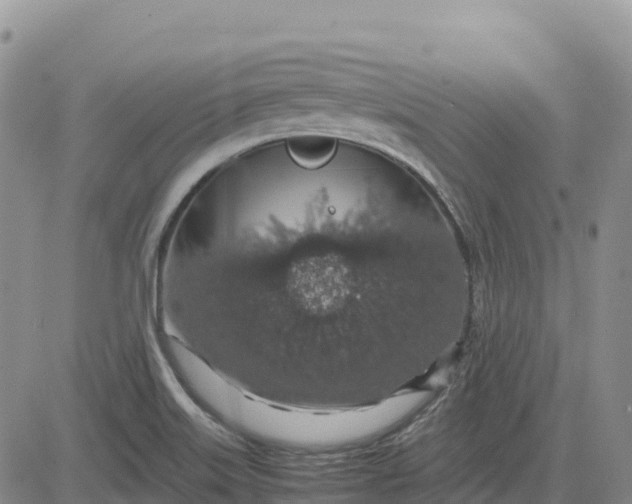 X0000083581515200702231642