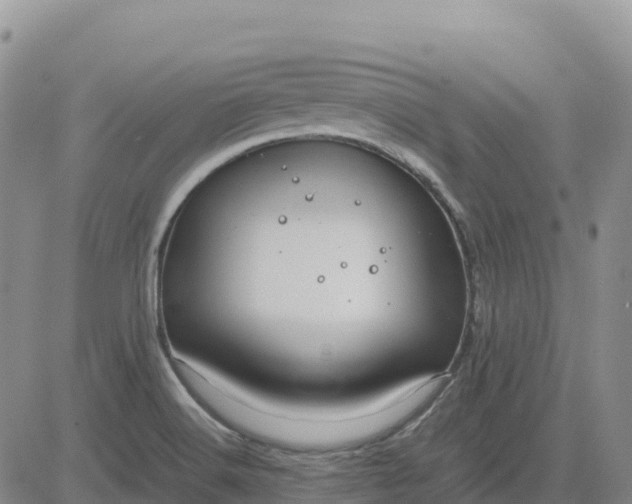 X0000083581516200702231642