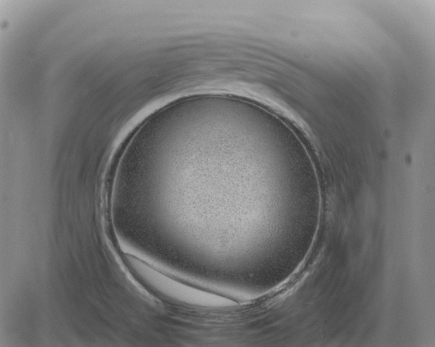 X0000083581517200702231642