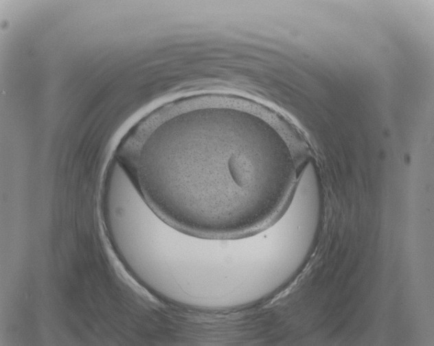 X0000083581518200702231642