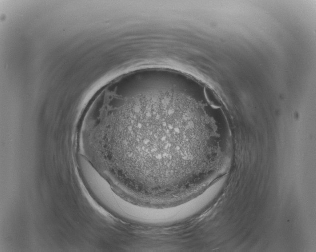 X0000083581519200702231642