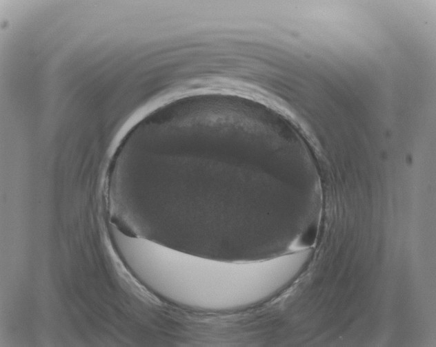 X0000083581522200702231642