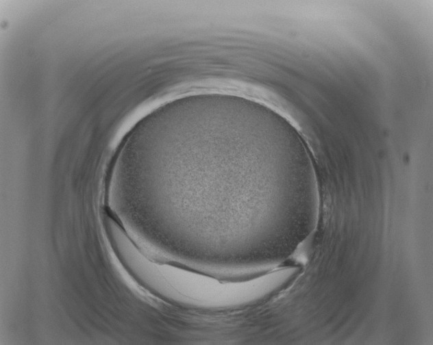 X0000083581523200702231642