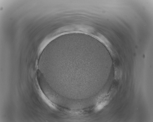 X0000083581524200702231642