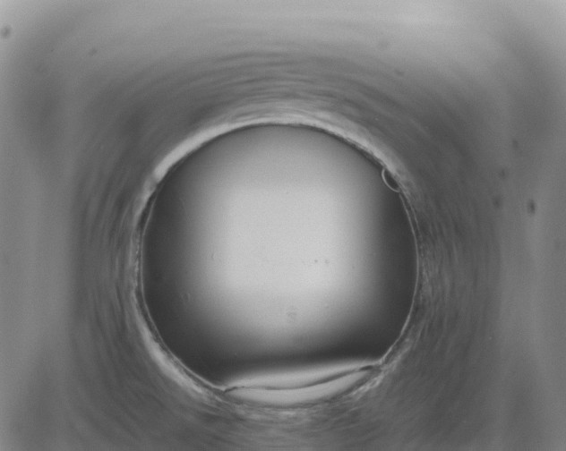 X0000083581526200702231642