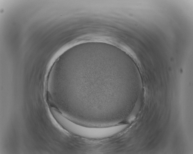 X0000083581528200702231642