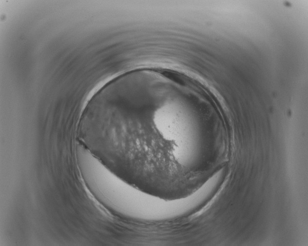 X0000083581529200702231642