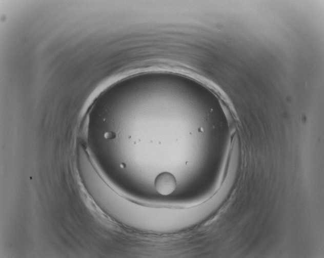 X0000083581530200702231642