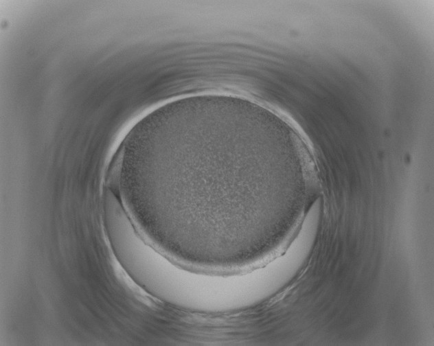 X0000083581532200702231642