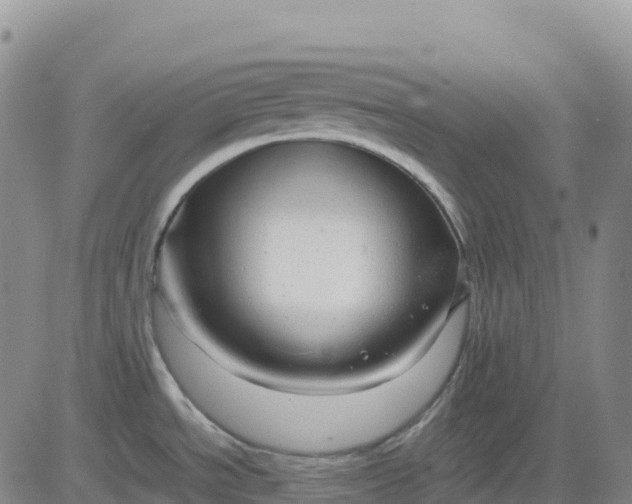 X0000083581534200702231642