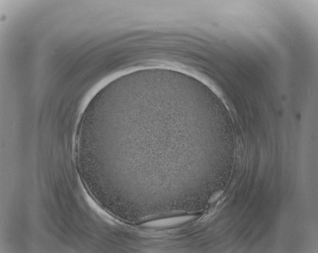 X0000083581535200702231642