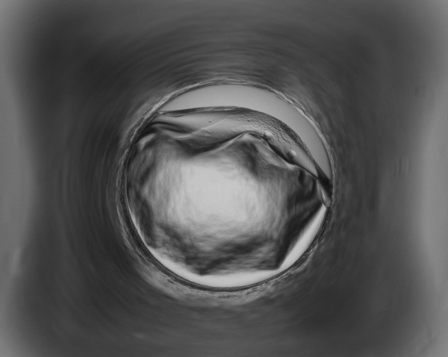 X0000083580001200703021829