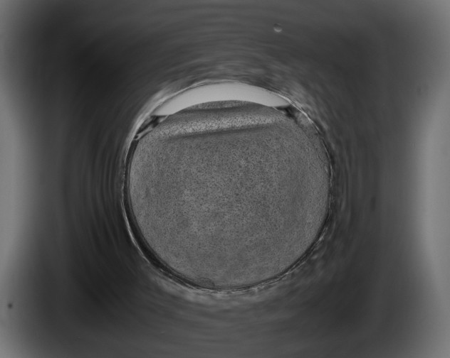 X0000083580003200703021829