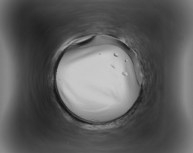 X0000083580005200703021829