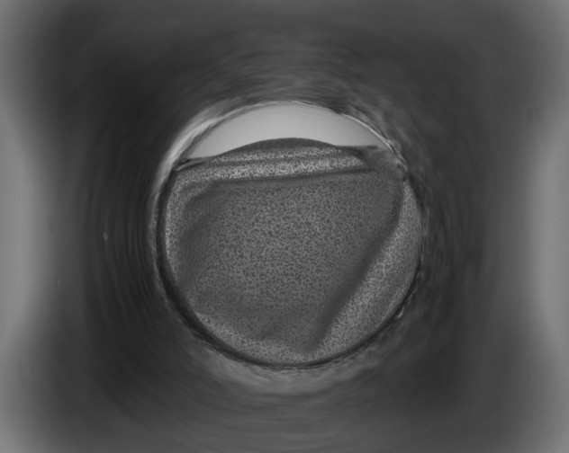 X0000083580006200703021829