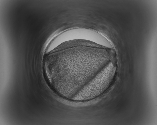 X0000083580007200703021829