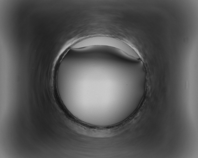 X0000083580008200703021829