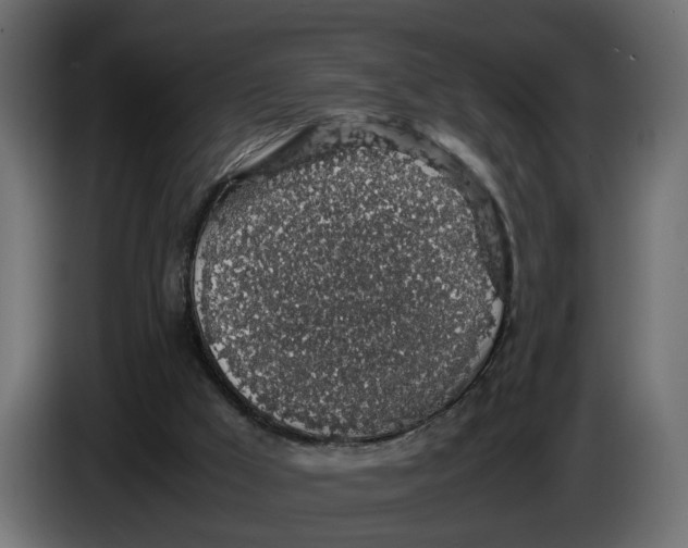 X0000083580009200703021829