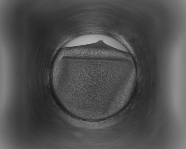 X0000083580010200703021829