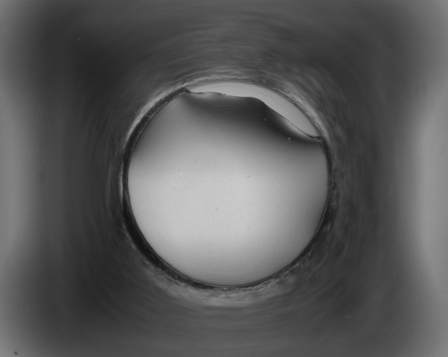 X0000083580011200703021829