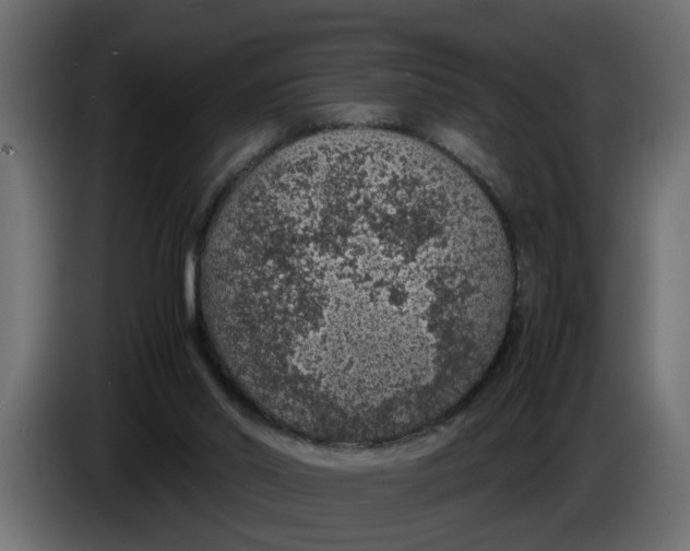 X0000083580014200703021829