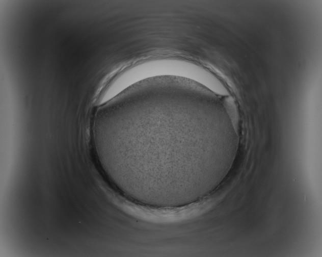 X0000083580015200703021829