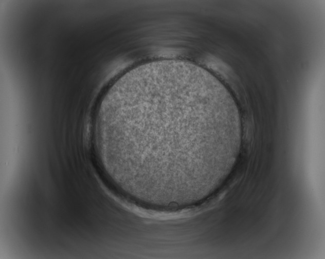 X0000083580016200703021829