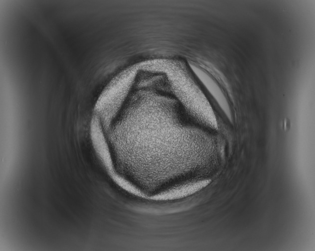 X0000083580017200703021829