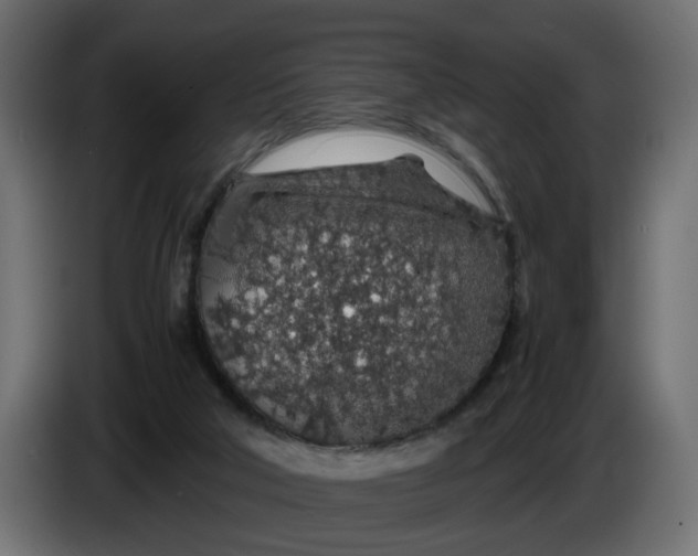 X0000083580018200703021829