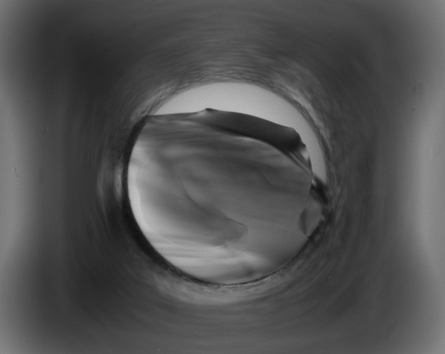 X0000083580019200703021829