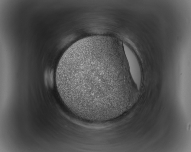 X0000083580020200703021829