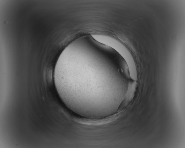 X0000083580021200703021829