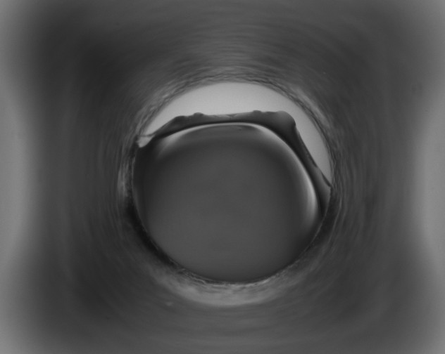 X0000083580023200703021829