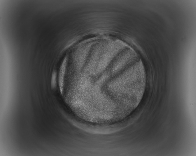 X0000083580024200703021829