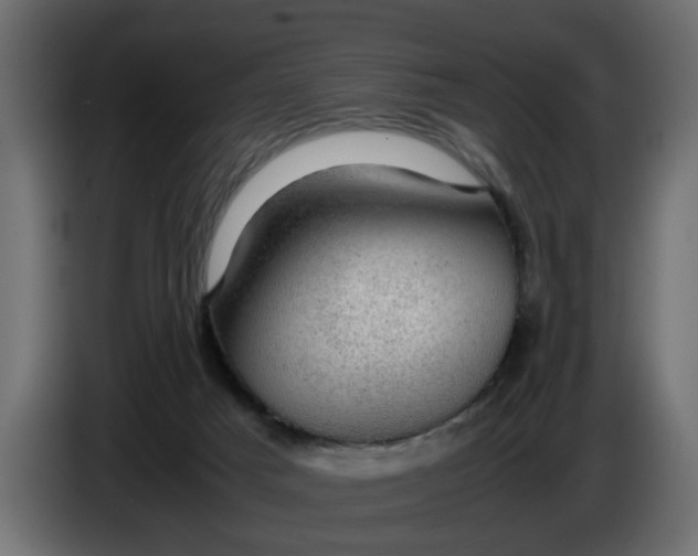 X0000083580025200703021829