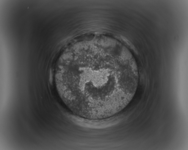 X0000083580026200703021829