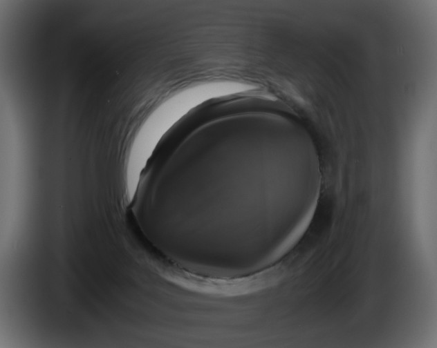 X0000083580027200703021829