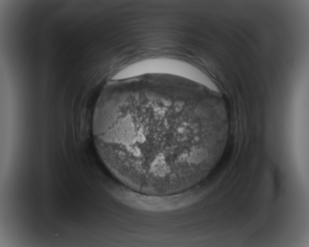 X0000083580030200703021828